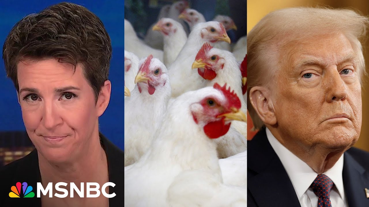 Trump cuts communication from health agencies despite growing bird flu threat