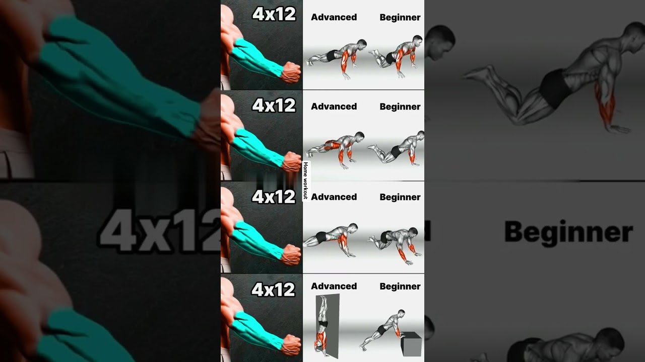 Best home workout of forearm, triceps and chest no equipment for beginners|#shorts #youtubeshorts