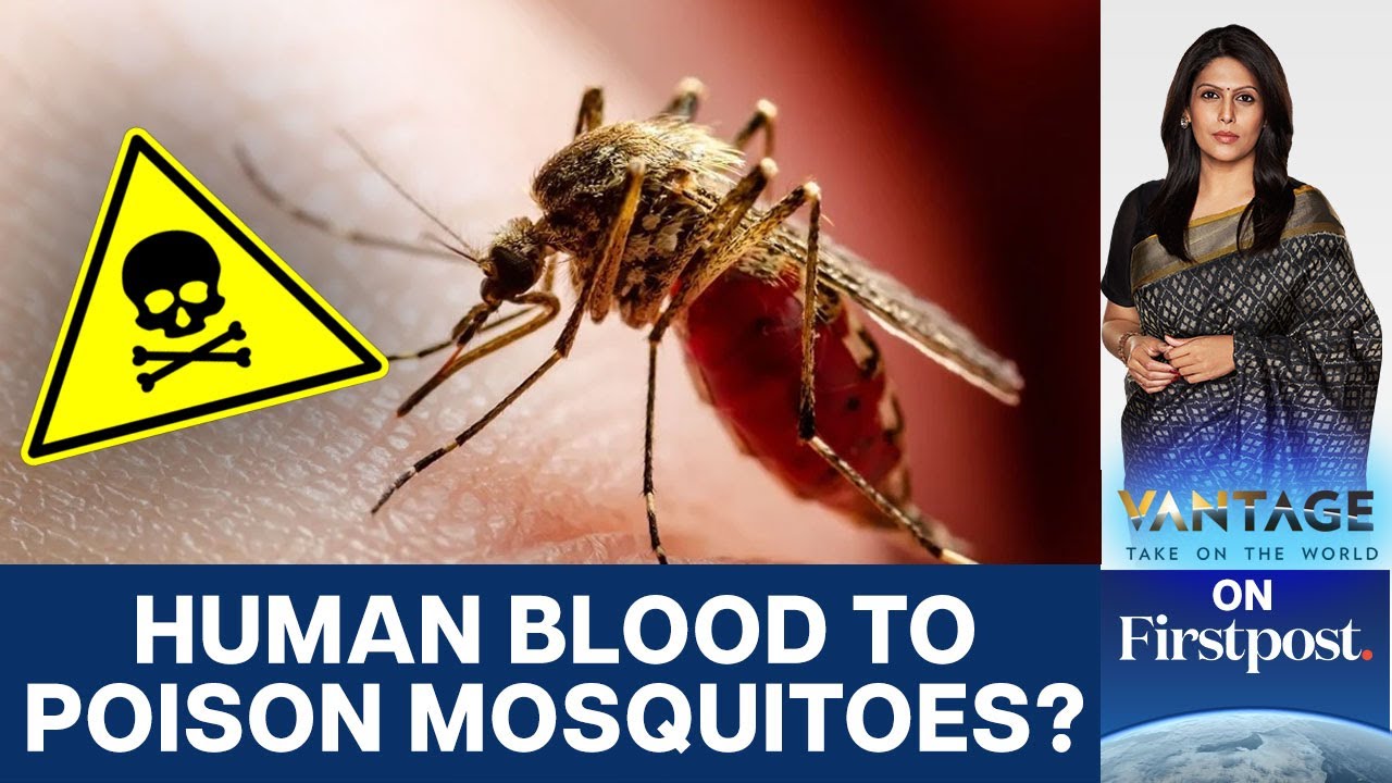 Drug Turns Human Blood into Mosquito Poison | Vantage with Palki Sharma  | N18G