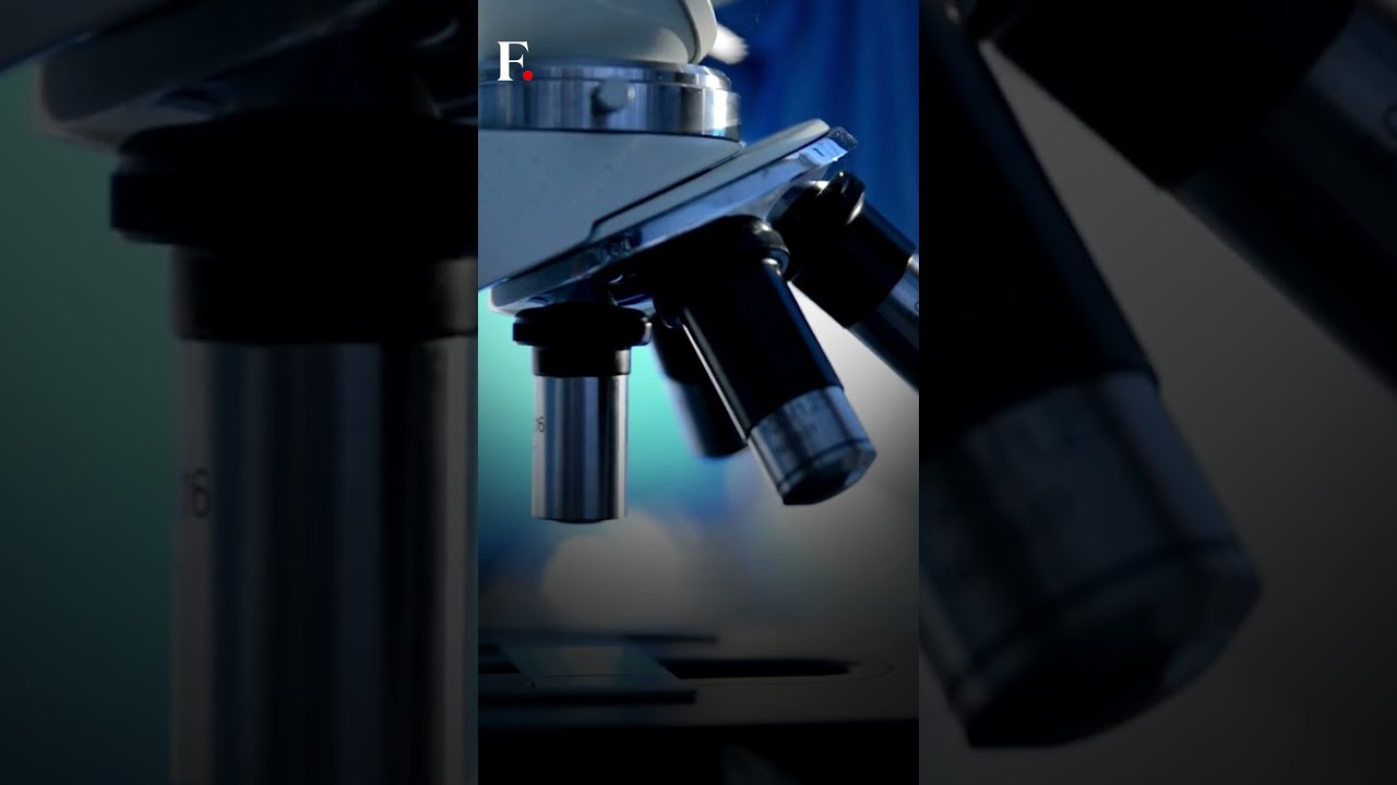 Thailand Reports First Anthrax Death In Decades | Subscribe To Firstpost | N18G