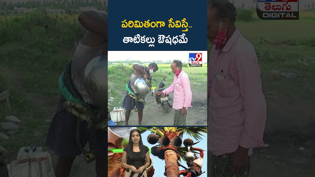 పరిమితంగా సేవిస్తే.. తాటికల్లు ఔషధమే  | Health Tips – TV9
