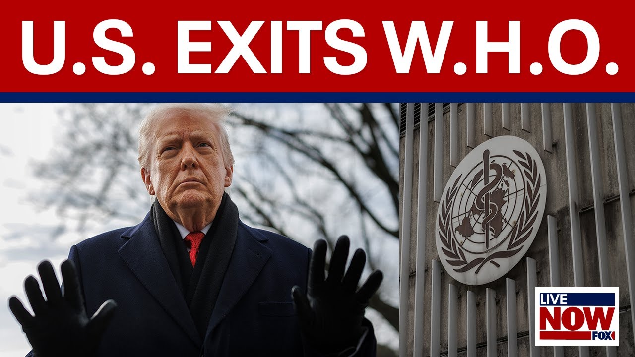 US leaves World Health Organization over handling of COVID-19