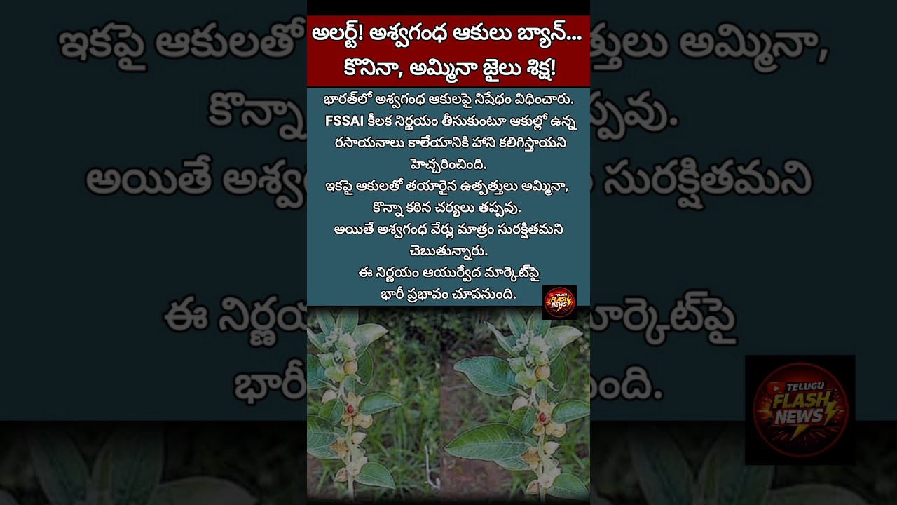 #Ashwagandha#HealthAlert#FSSAI#BreakingNews#Ayurveda#HealthNews#IndiaNews
