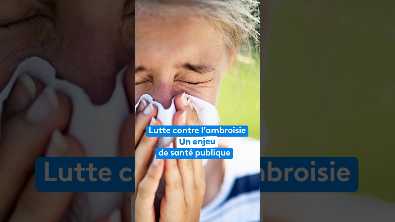 🌿 Alerte bombe sanitaire ! Connaissez-vous l’ambroisie ?